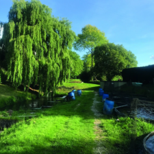 Brookleas Fish Farm