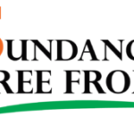 Sundance Free Form