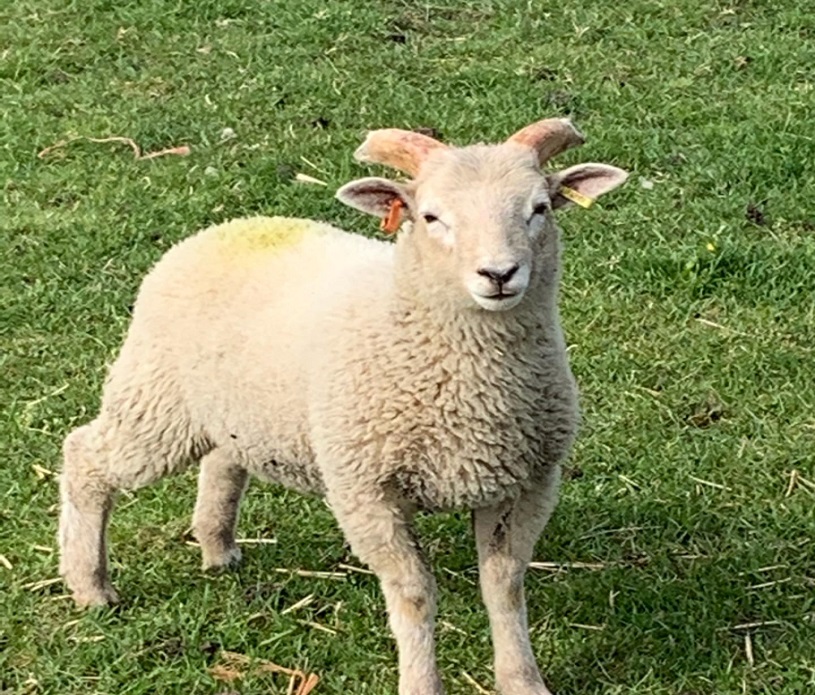 Abberley Farm 1