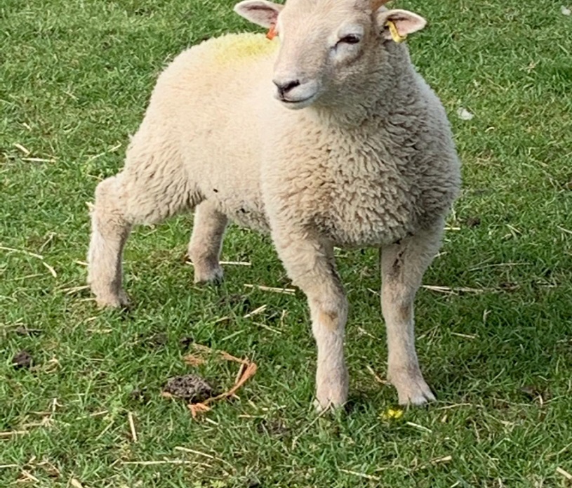 Abberley Farm 3