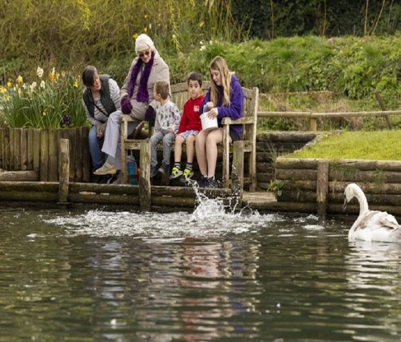 Bilbury Trout Farm 3