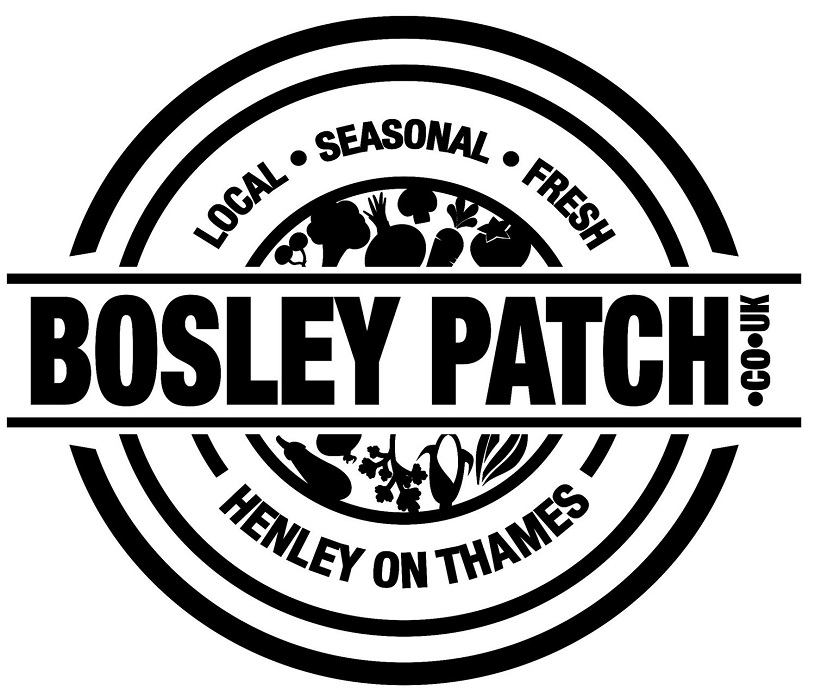 Bosley Patch 1