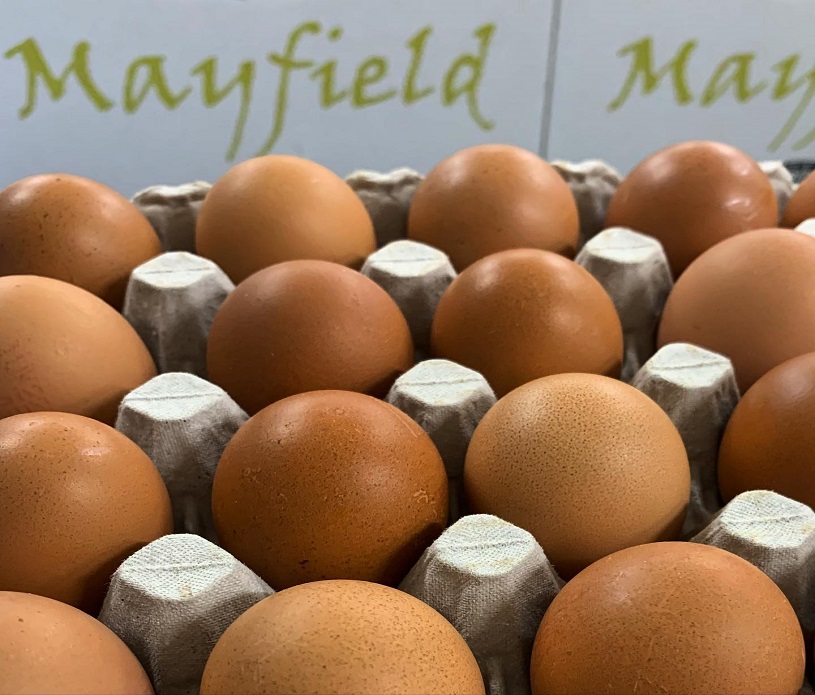 Mayfield Eggs 2