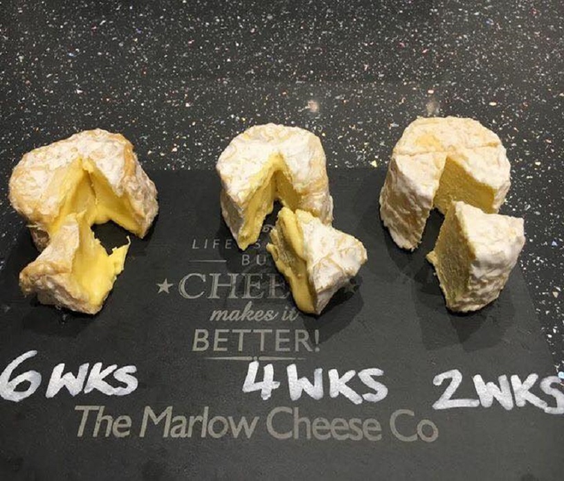 The Marlow Cheese Co 1